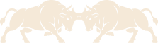 Discount bar bull image