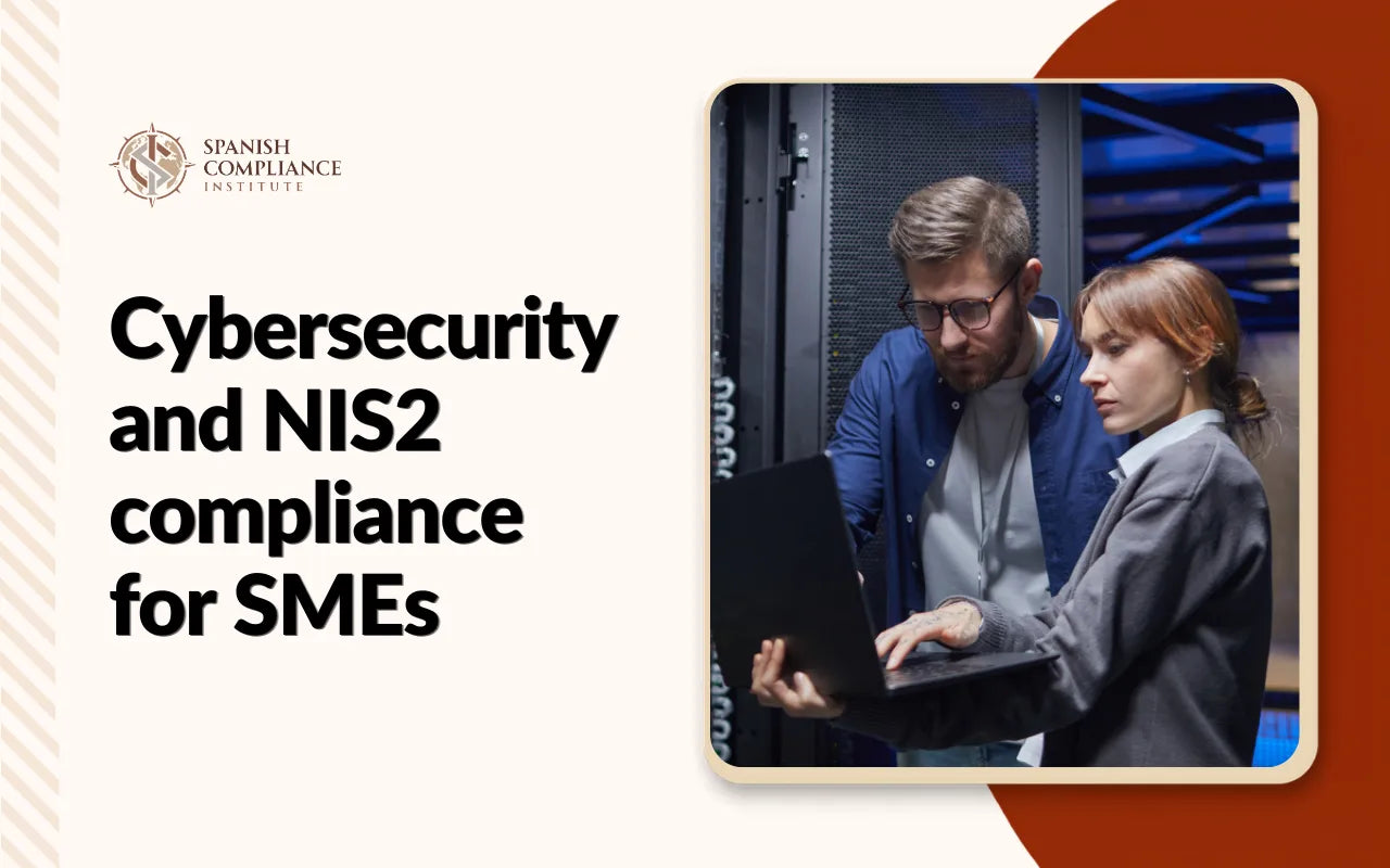 IT professionals securing network systems for the Cybersecurity and NIS2 Compliance for SMEs training.