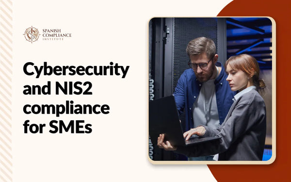 IT professionals securing network systems for the Cybersecurity and NIS2 Compliance for SMEs training.