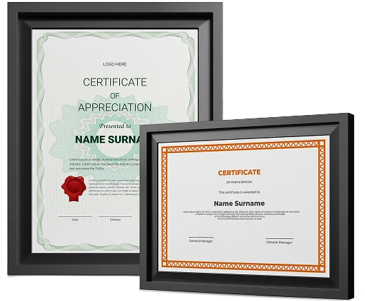Certificado Ejecutivo Profesional